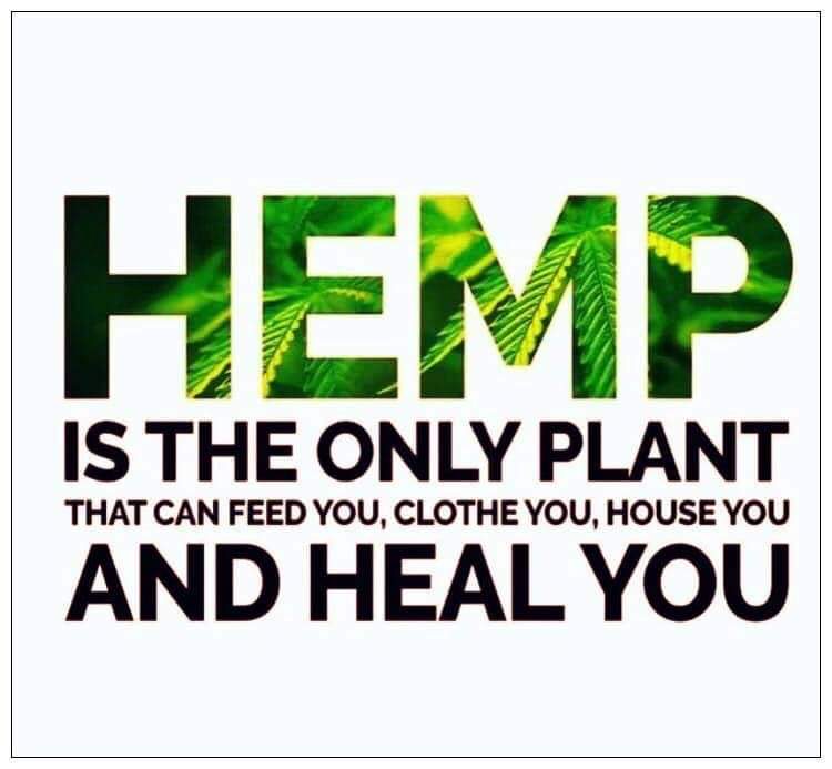 Is Hemp Safe for the environment
