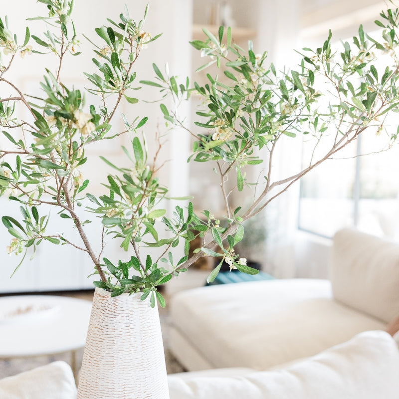 At home collection with sustainable home goods.