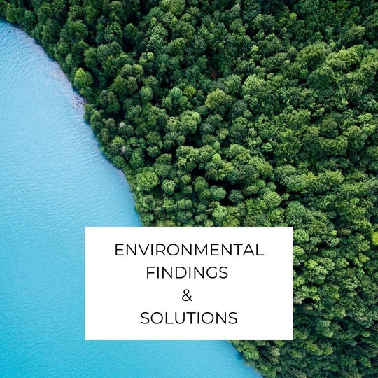 Blog posts on environmental findings and solutions, such as sustainability trends and news.