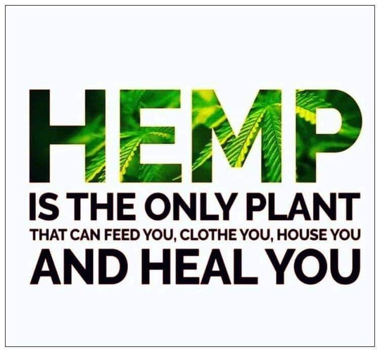 Is Hemp Safe for the environment