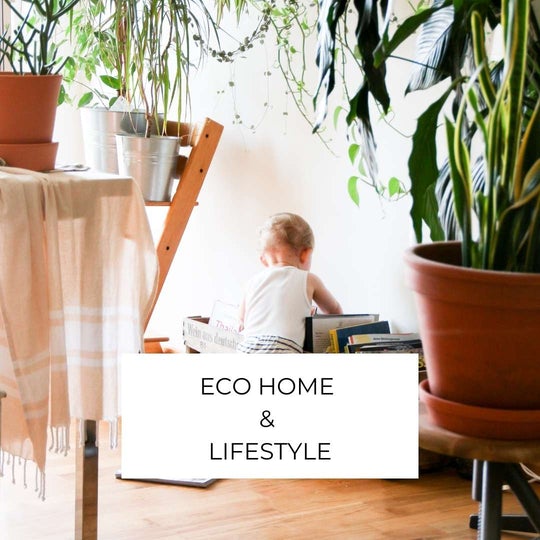 Blog posts on eco home and environmental lifestyle topics. 