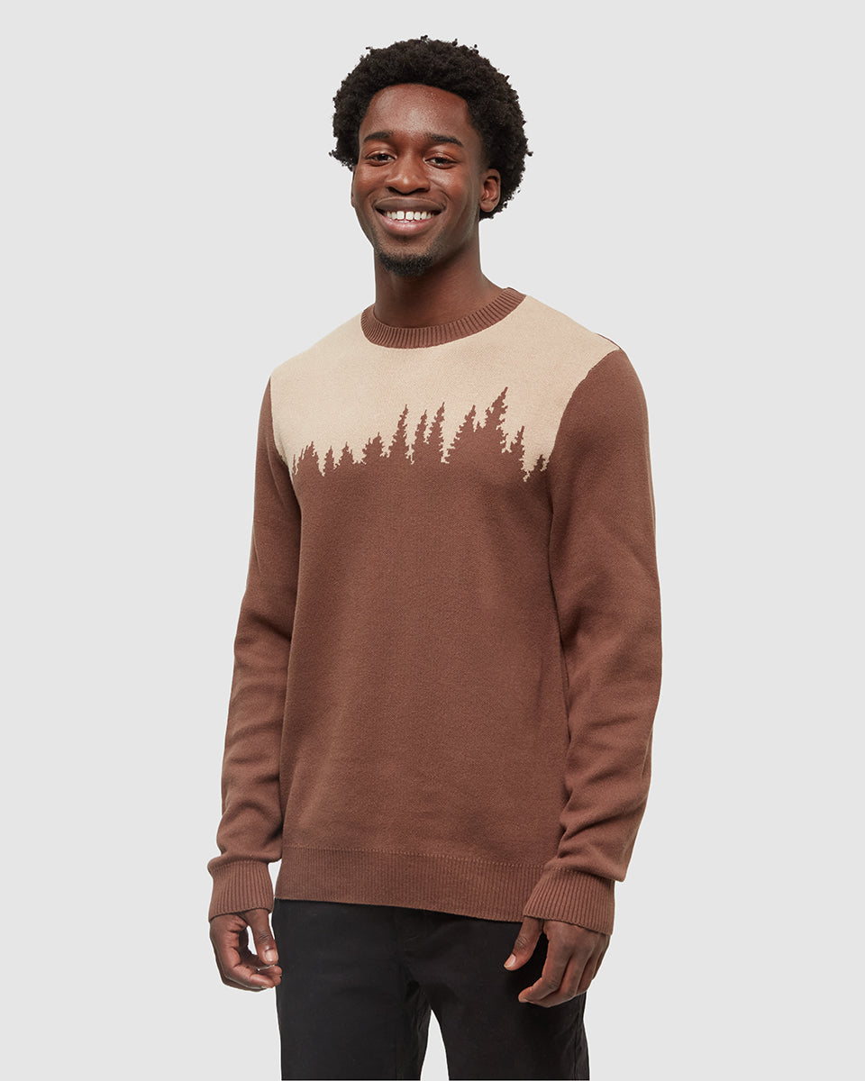 Juniper Sweater in Organic Cotton