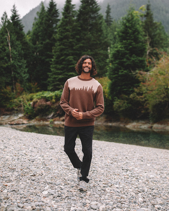 Juniper Sweater in Organic Cotton