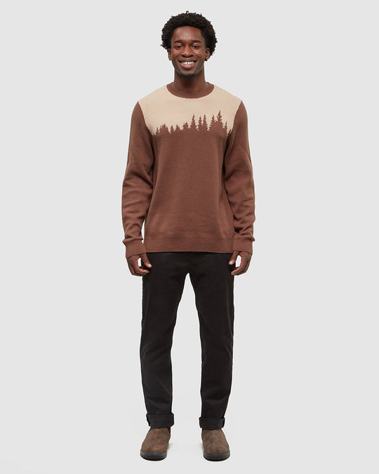 Juniper Sweater in Organic Cotton